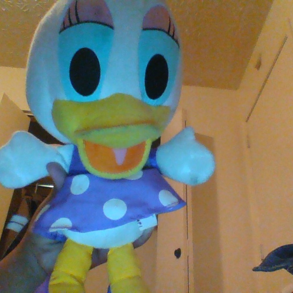 toy